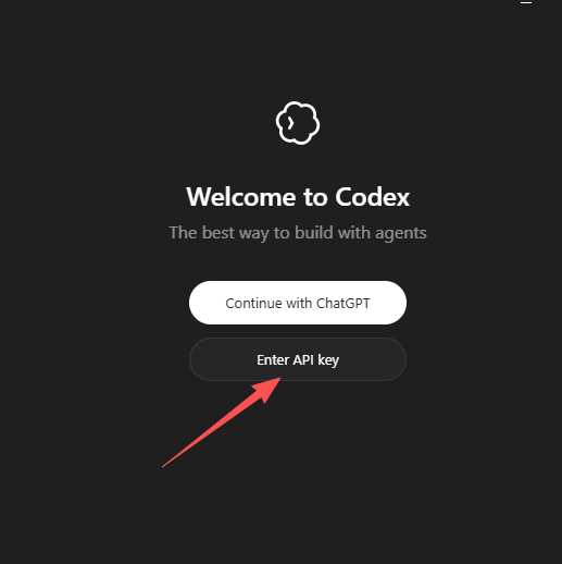 Codex 客户端初始界面